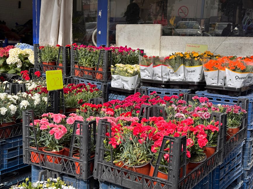 An outdoor display of flower pots arranged in black plastic crates showcases a variety of colourful florist flowers, including pink, red, white, orange, and yellow blooms. The flowers are fresh, with 